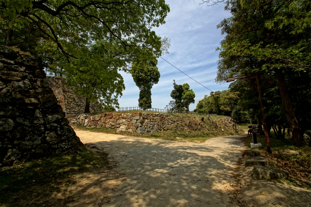 洲本城