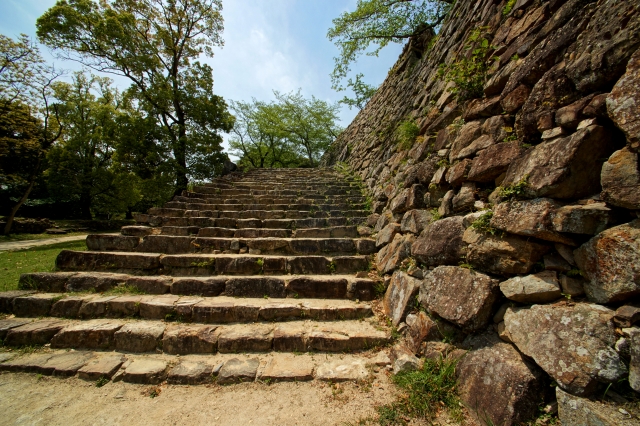 洲本城