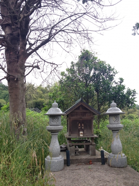 堤城（鳥取県）