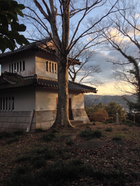 田内城（鳥取県）