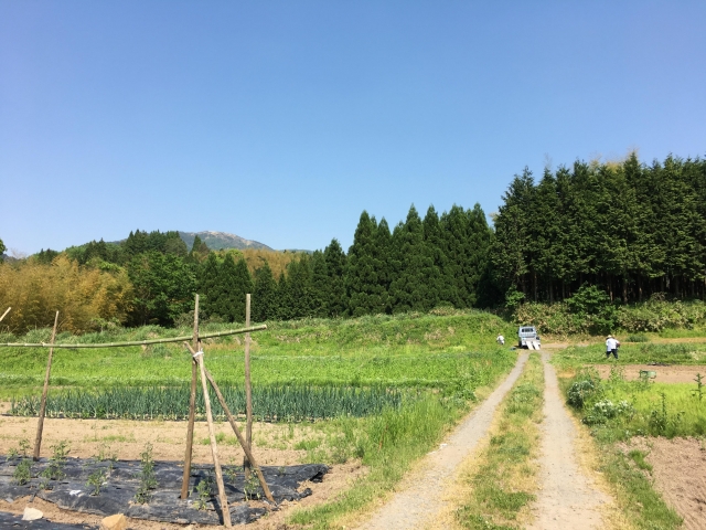俣野の土居城（鳥取県）