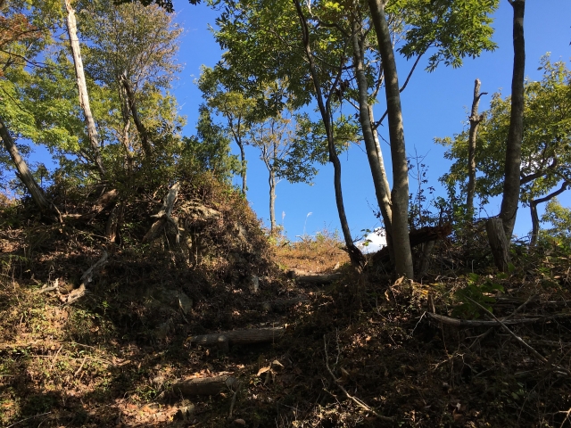 飯盛山城 (備前国)