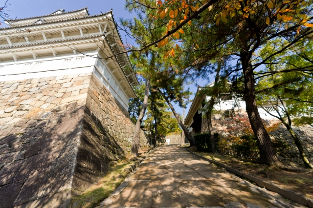 福山城 (備後国)