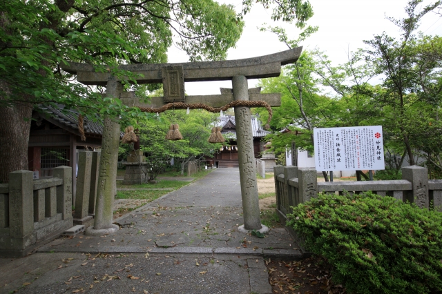 撫養城
