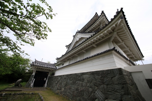 撫養城