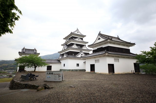 大洲城