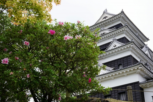 大洲城
