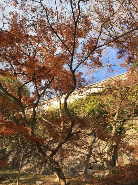 唐津城