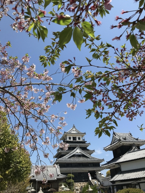 中津城