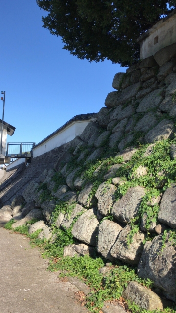 中津城