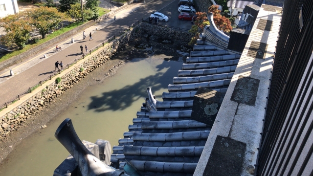 中津城