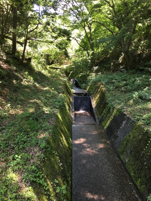 朝日山城