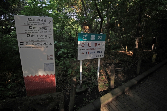 鹿児島城