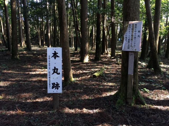 高山城 (大隅国)（鹿児島県）