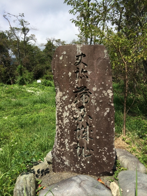 蒲原城（駿河）