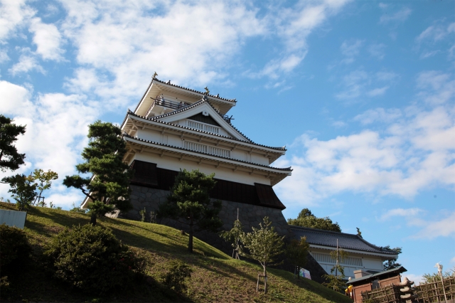 上山城