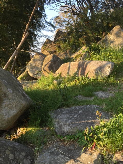 大溝城（近江）（滋賀県）