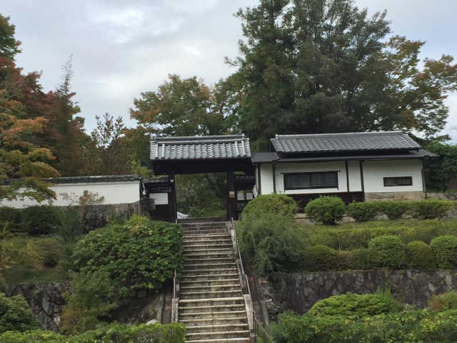 柳生城（大和）