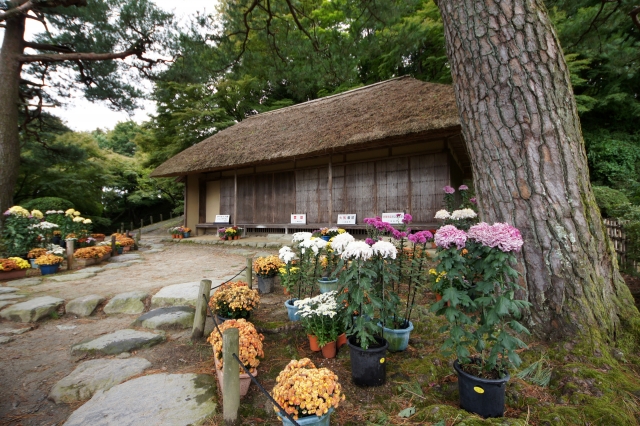 二本松城