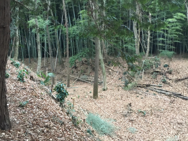 久下田城