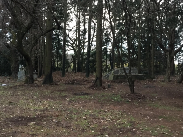 久下田城