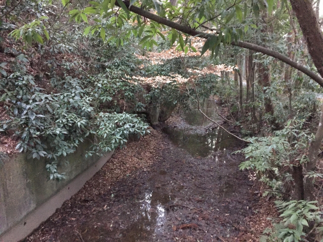久下田城