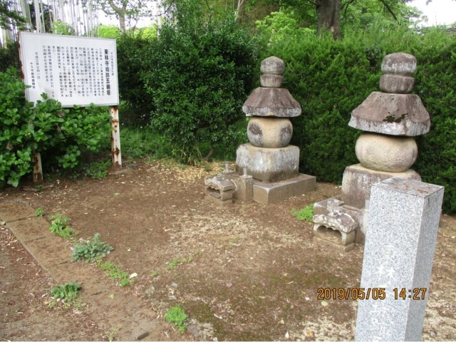 東林寺城