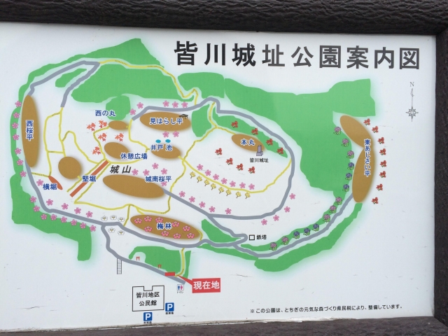 皆川城