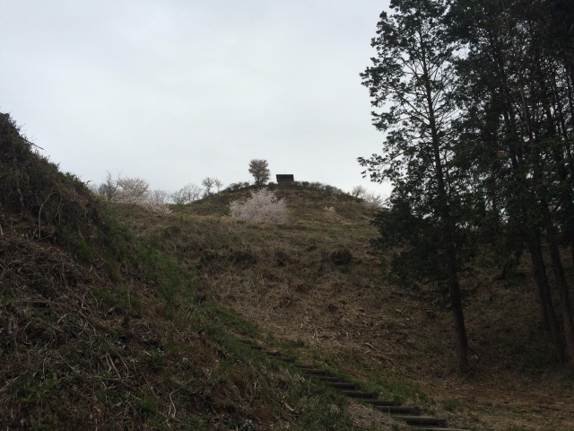 皆川城