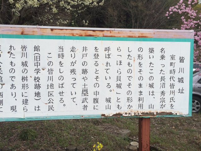 皆川城