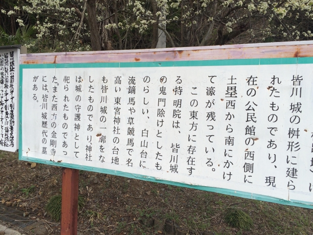 皆川城