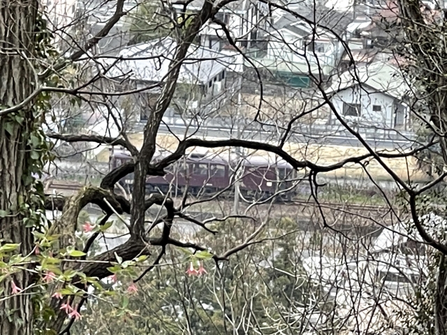 高津戸城（群馬県）