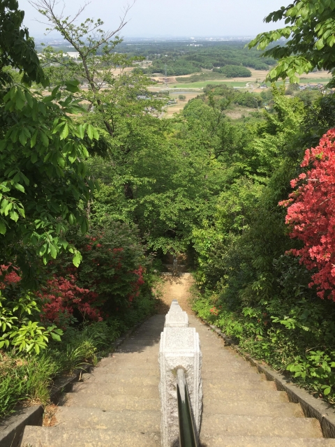 高見城（埼玉県）