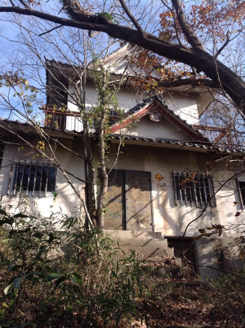 天神山城 (武蔵国)（埼玉県）