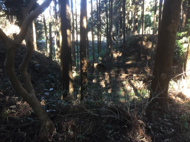 坂田城（千葉県）