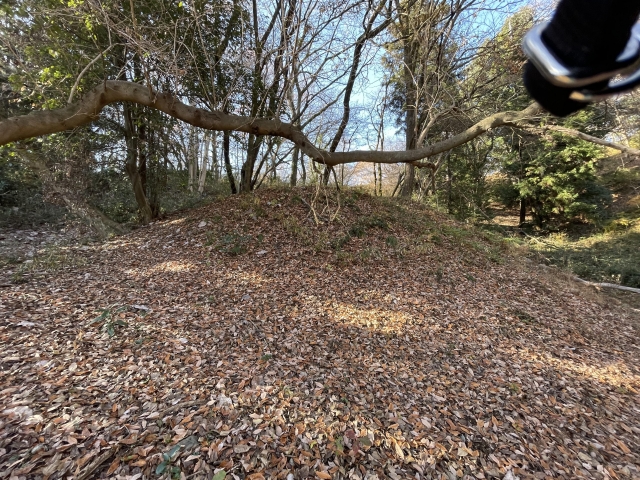小田野城（東京都）