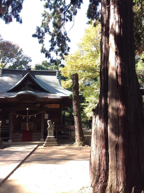 片倉城
