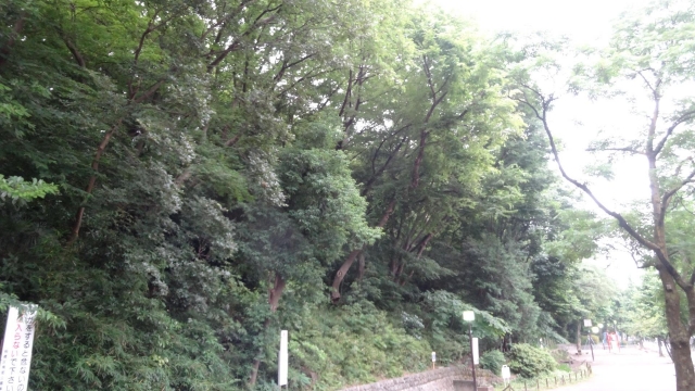 志村城