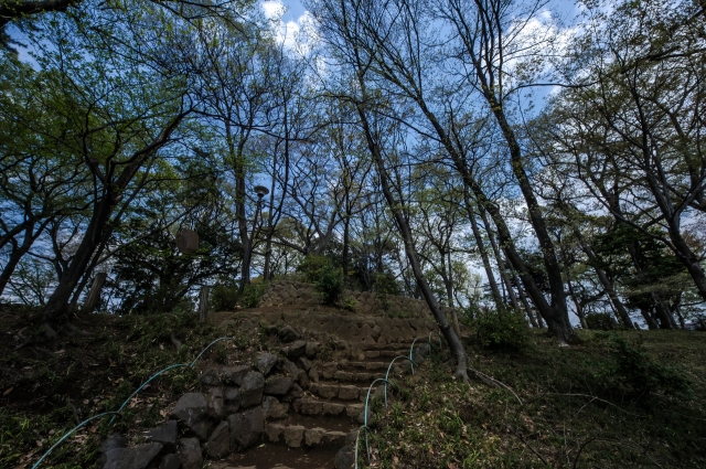 世田谷城
