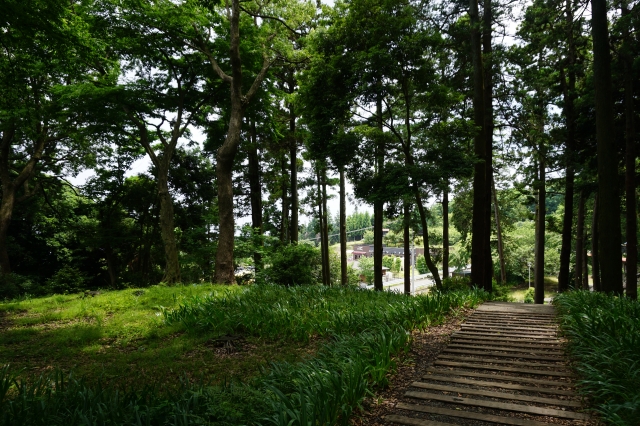 石垣山城