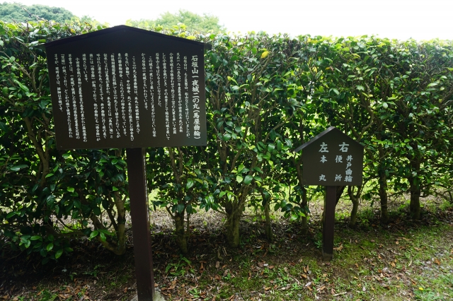 石垣山城