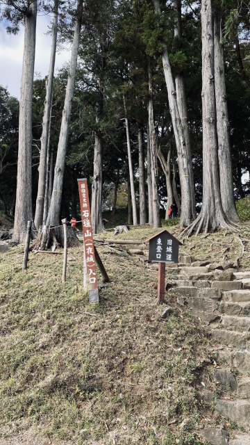 石垣山城