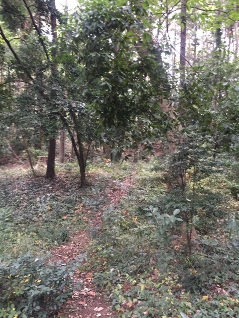深見城