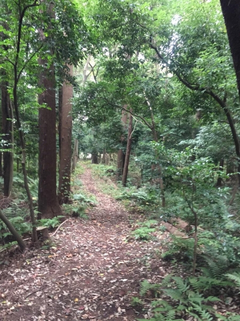 深見城