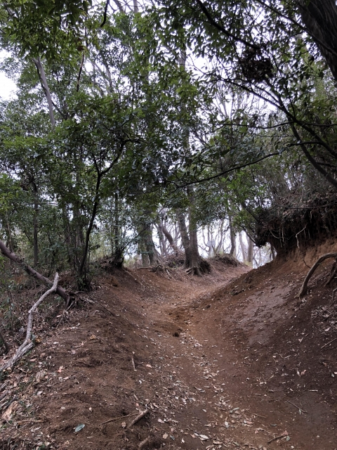 小沢城