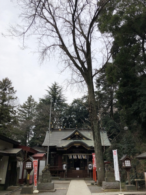 小沢城