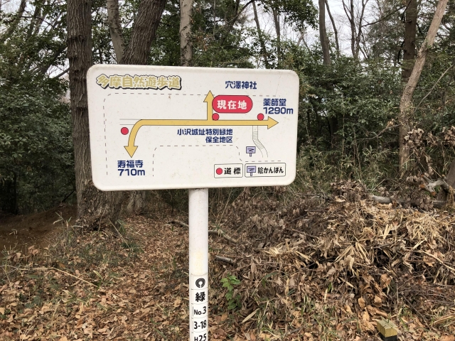 小沢城