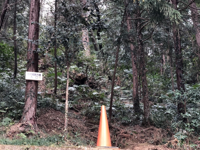 小沢城