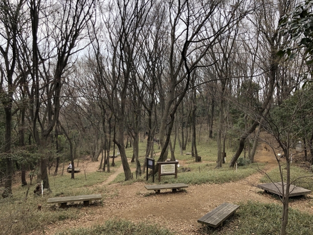 小沢城