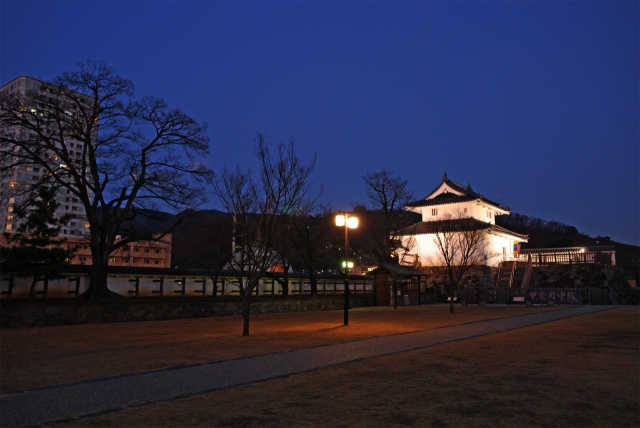 甲府城